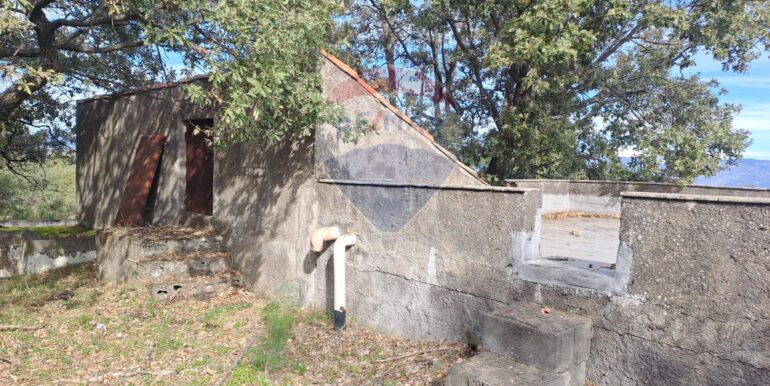 20251113181316-1000664-2