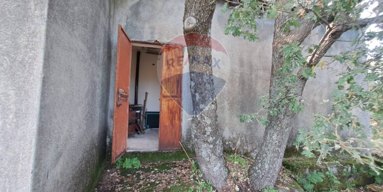 20251113181335-1000664-6