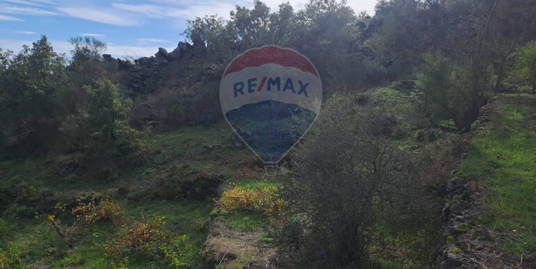 20251113181434-1000664-19