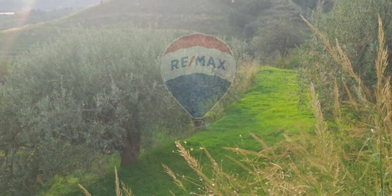 20251113203302-1000681-2