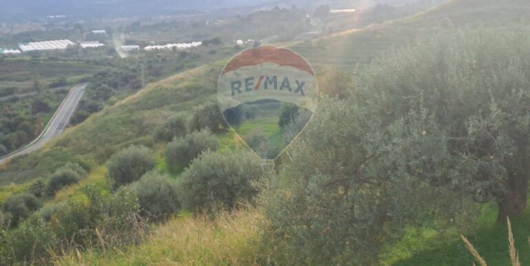 20251113203305-1000681-3