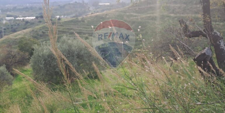 20251113203307-1000681-4