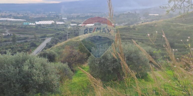 20251113203309-1000681-5