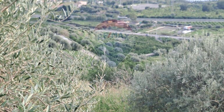 20251113203311-1000681-6