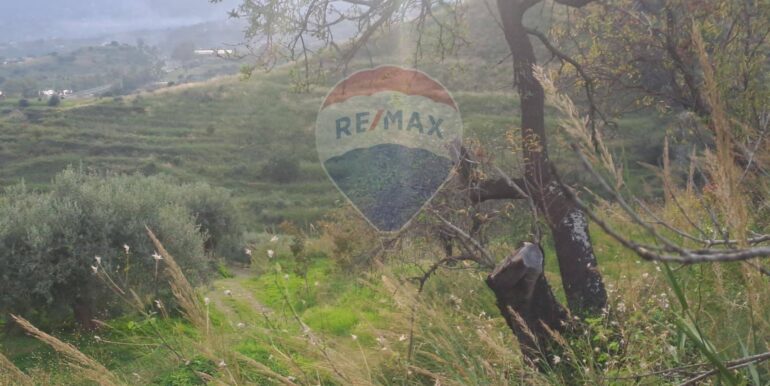 20251113203314-1000681-7