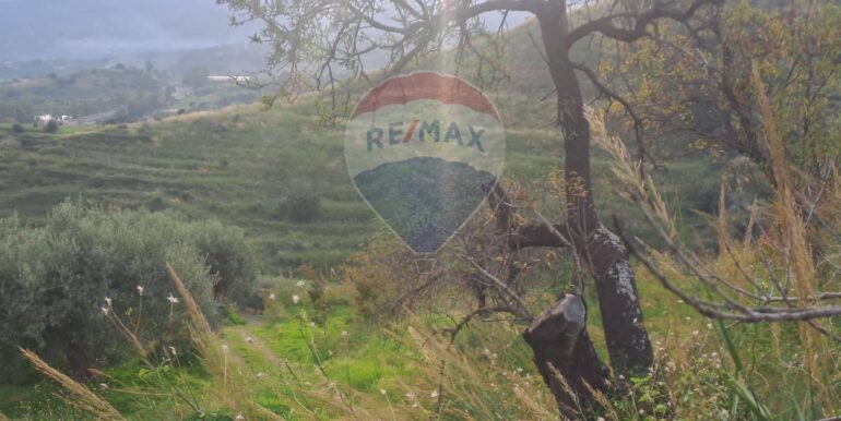 20251113203316-1000681-8