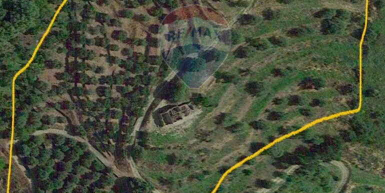 20251113203318-1000681-9