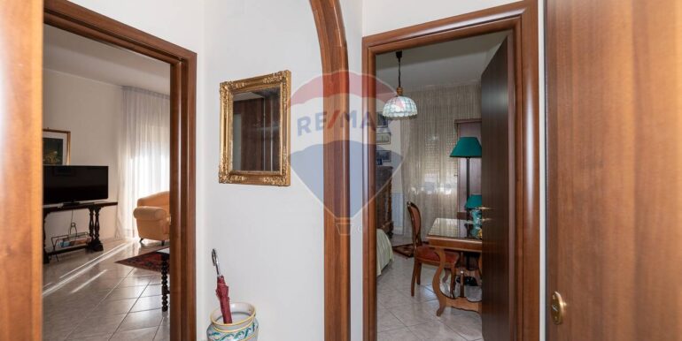 2025111385946-1000499-3