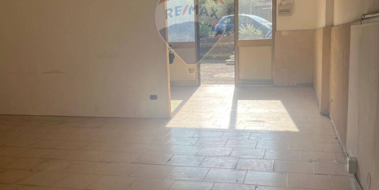 2025111391543-1000501-8