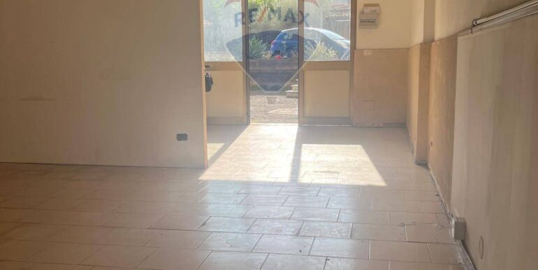 2025111391545-1000501-9