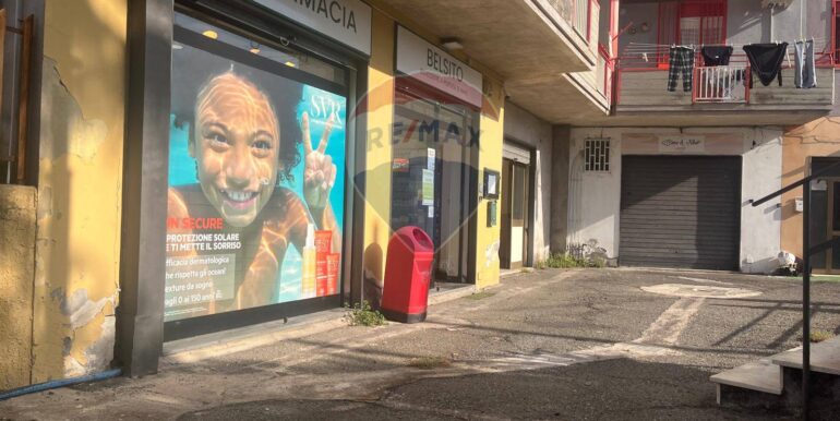 2025111391619-1000501-24