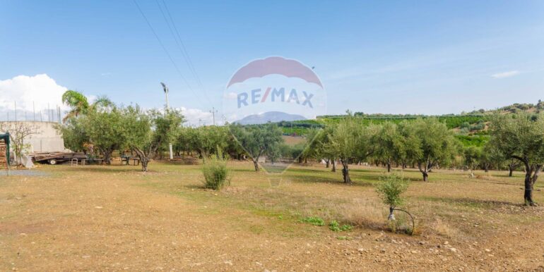 20251114101139-1000702-6