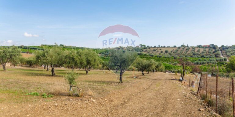 20251114101139-1000702-7