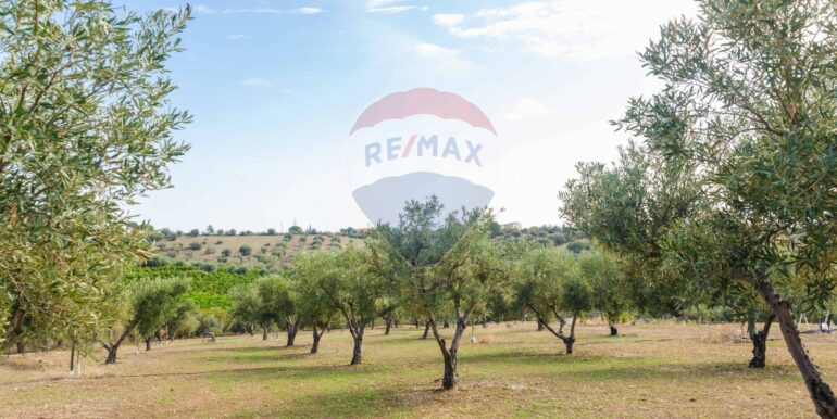 20251114101140-1000702-11