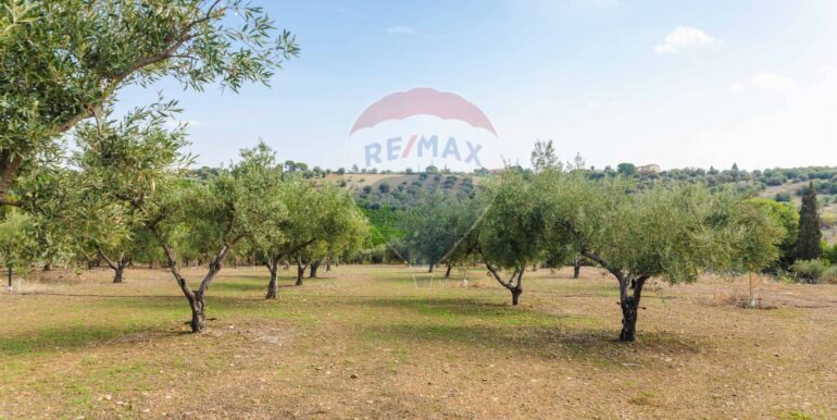 20251114101140-1000702-13