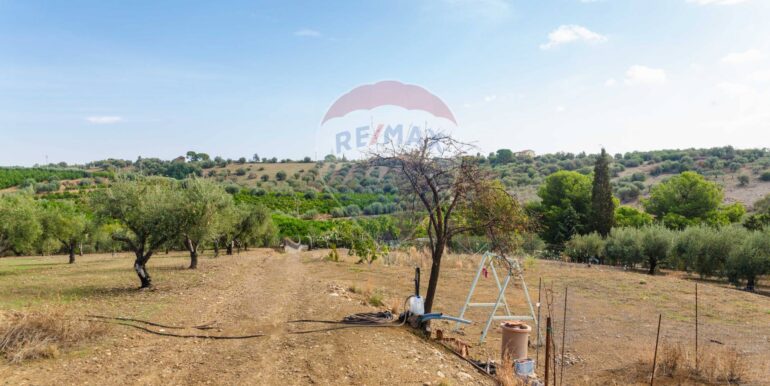 20251114101141-1000702-15