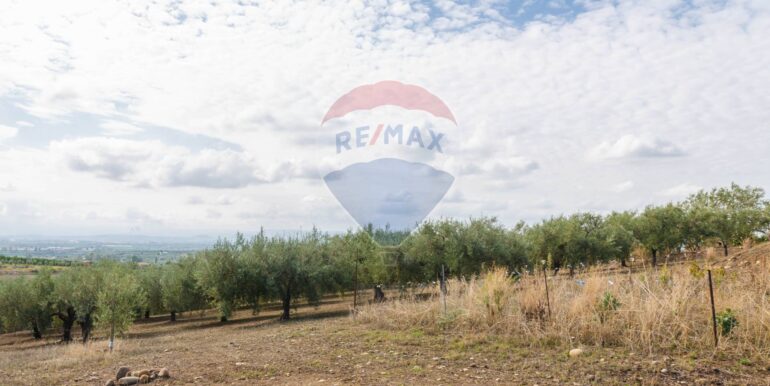 20251114101141-1000702-17