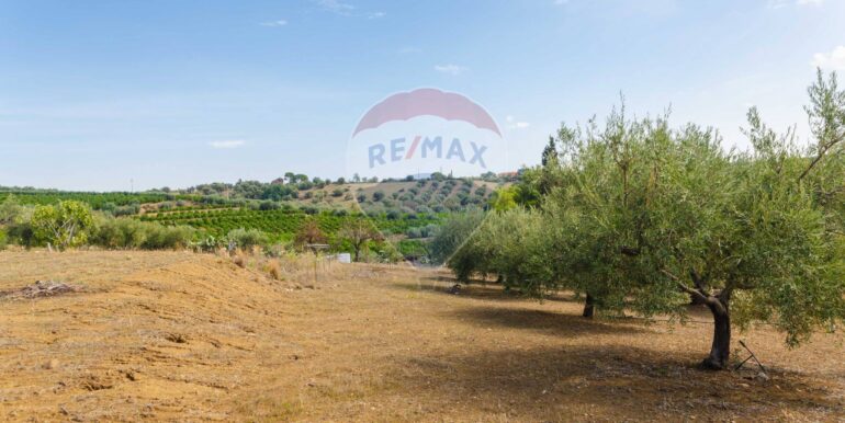 20251114101142-1000702-19