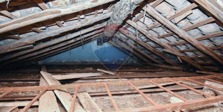 20251114101307-1000703-15