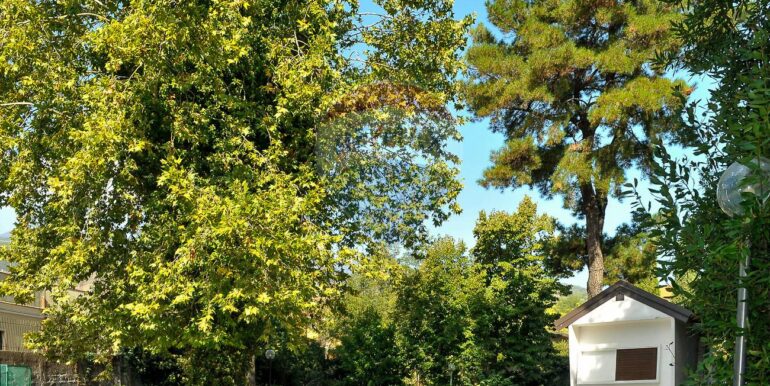 20251114110737-1000721-50