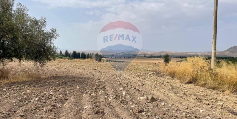 20251114111514-1000711-3