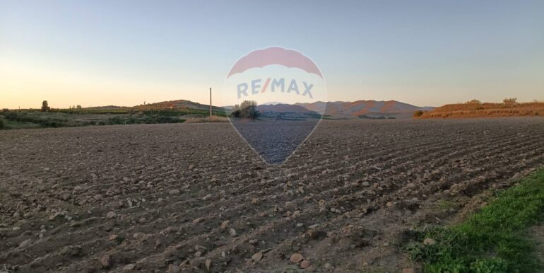 20251114111526-1000711-7