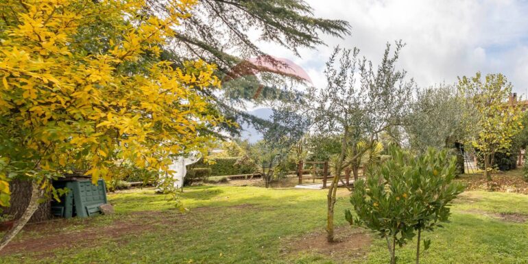 20251114114525-1000729-18