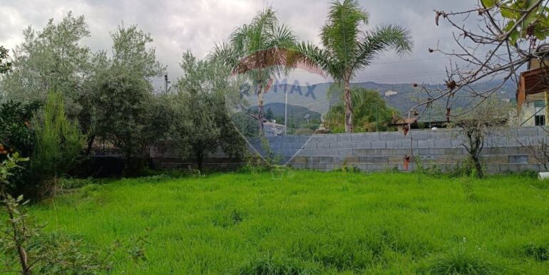 20251114134616-1000794-1