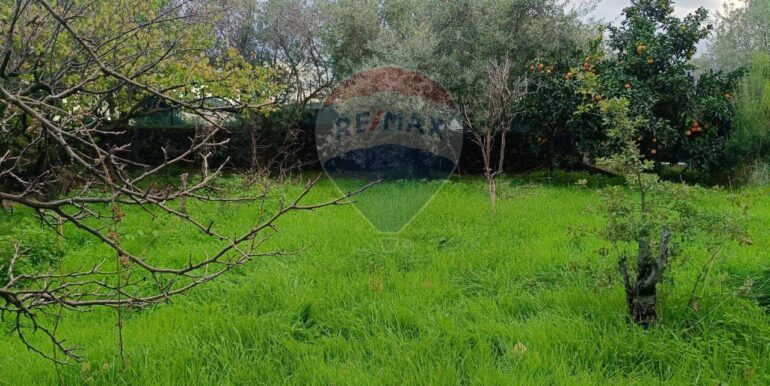 20251114134620-1000794-2