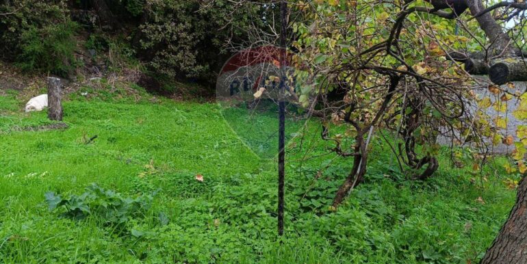 20251114134623-1000794-3