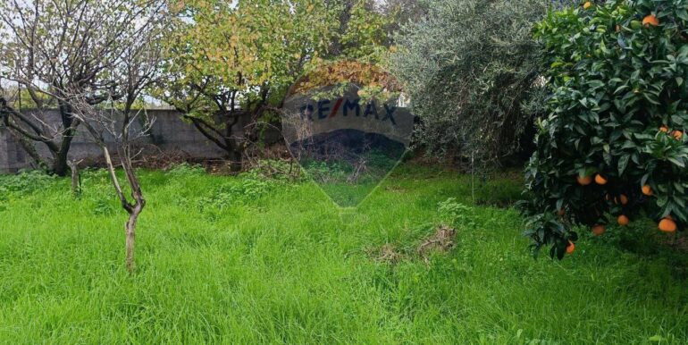 20251114134625-1000794-4