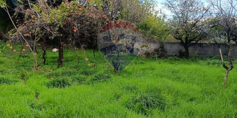 20251114134628-1000794-5