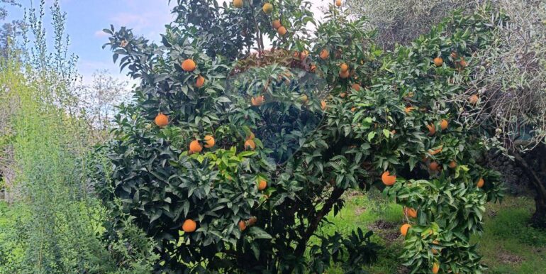 20251114134630-1000794-6