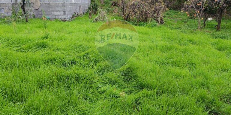 20251114134633-1000794-7