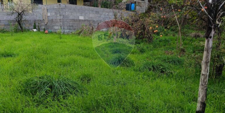 20251114134635-1000794-8