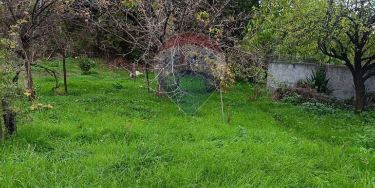 20251114134642-1000794-11