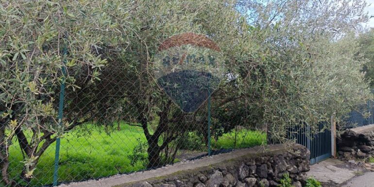 20251114134645-1000794-12