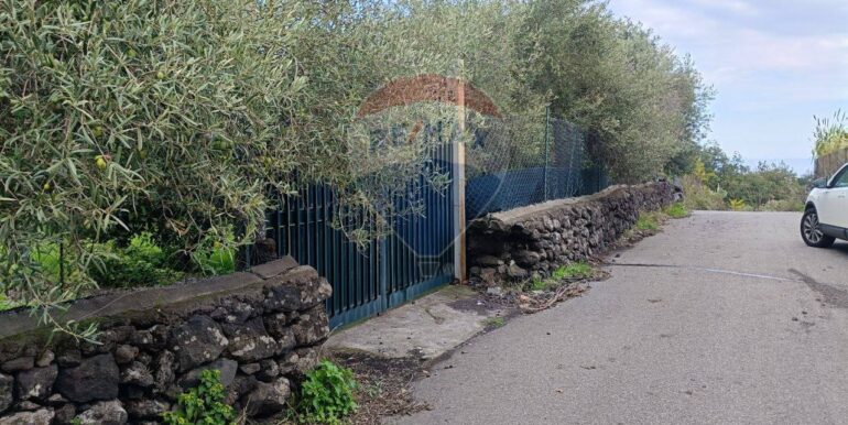 20251114134647-1000794-13