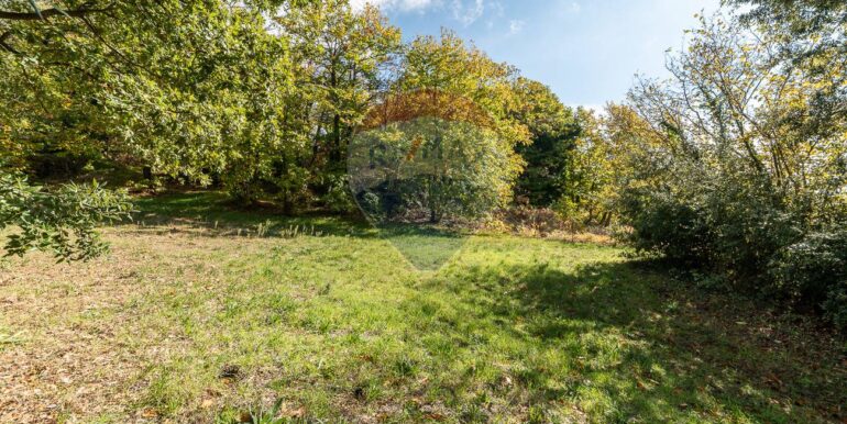 20251114180310-893911-58