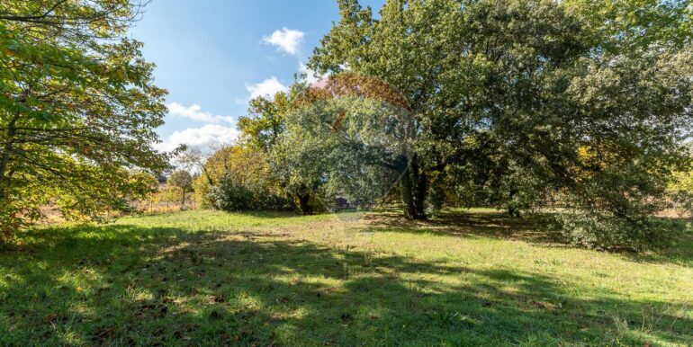 20251114180319-893911-60