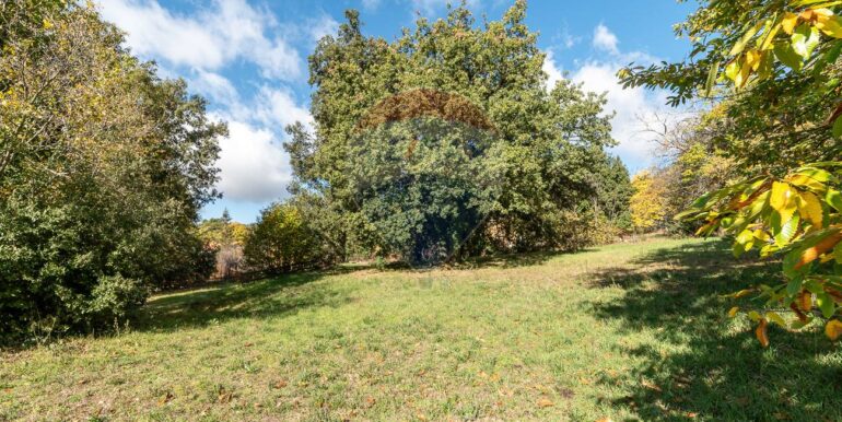 20251114180328-893911-62