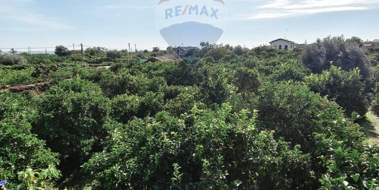 20251114180613-999733-2