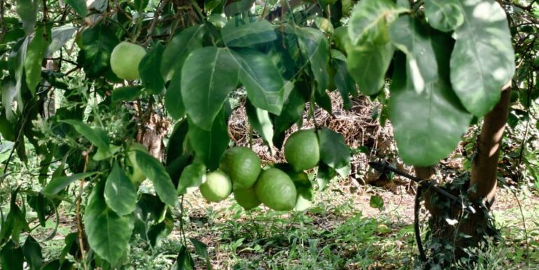 20251114180617-999733-3