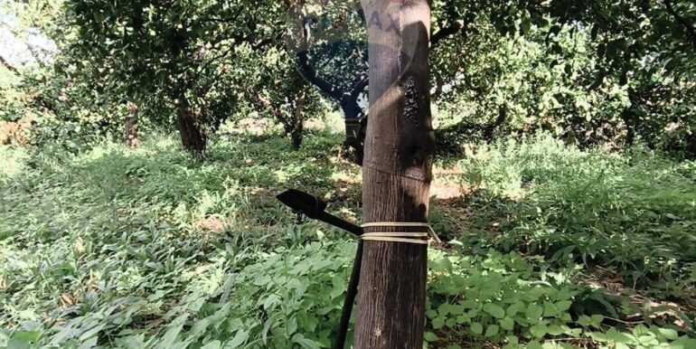 20251114180639-999733-6