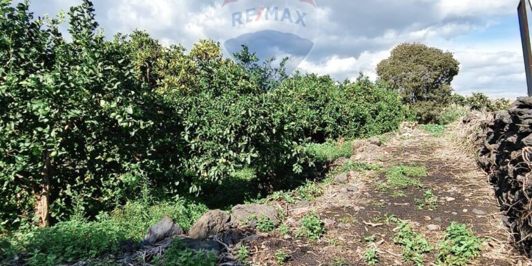 20251114180659-999733-9