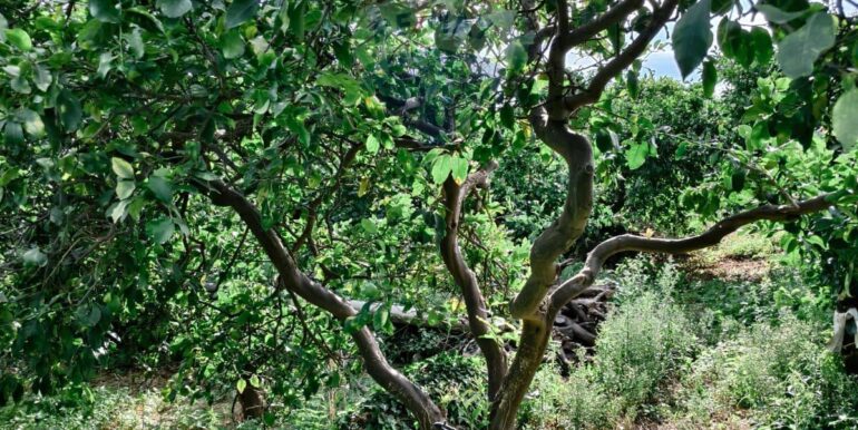 20251114181519-999731-15