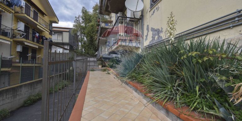 20251114182650-1000866-5