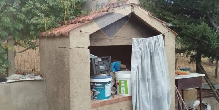 2025111493316-1000693-5