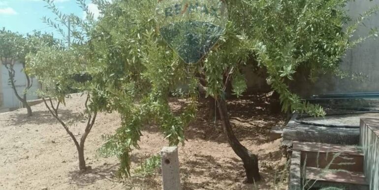 2025111493320-1000693-7