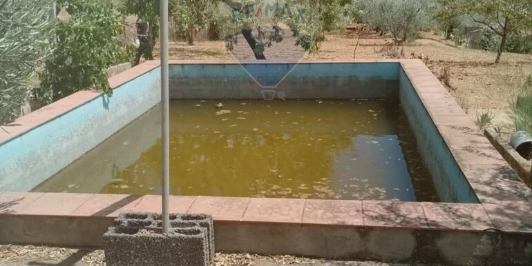 2025111493323-1000693-8